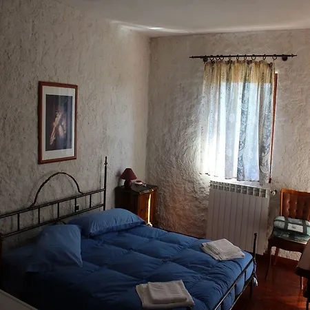 Guest house And Feral